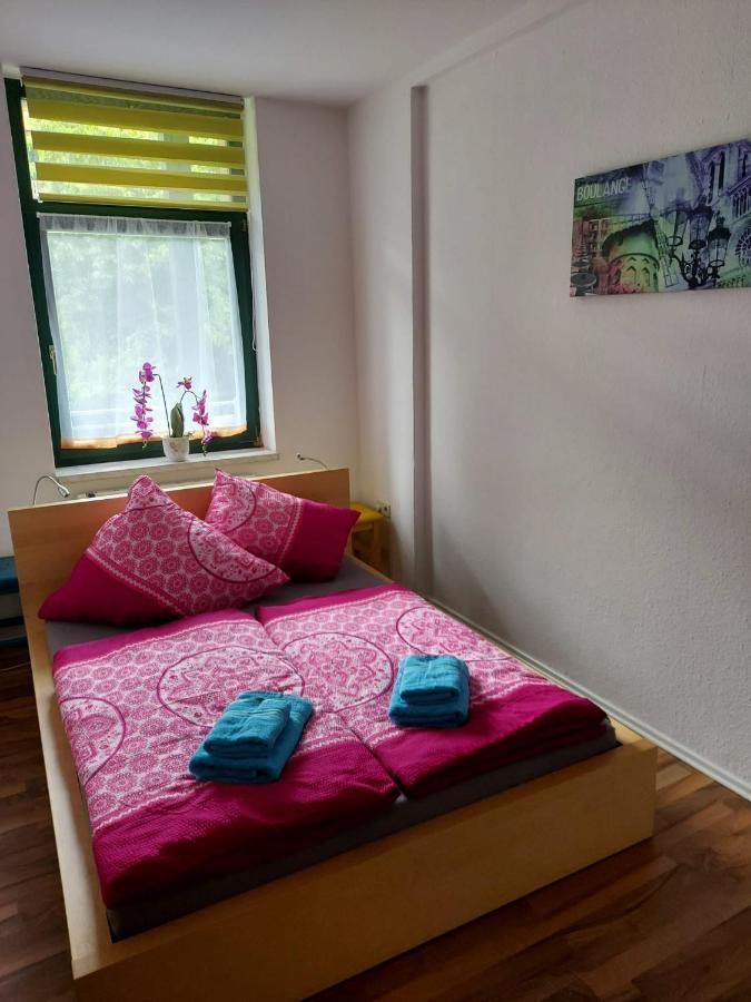 Ferienwohnung Eddi Райхенбах-им-Фогтланд Экстерьер фото